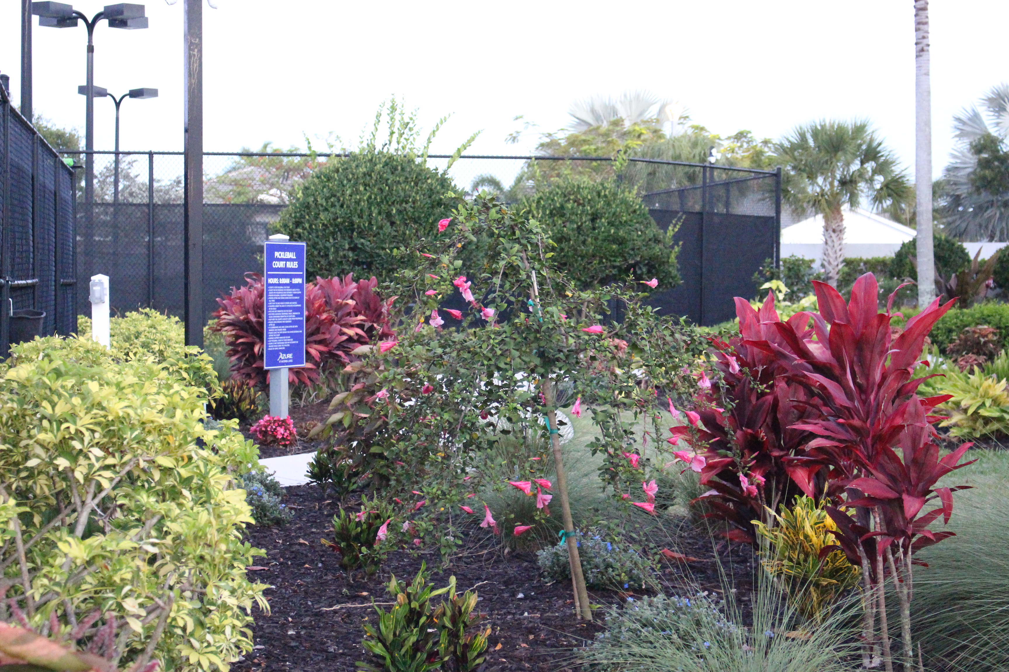 New Landscaping around Tennis & Pickleball Courts thumbnail