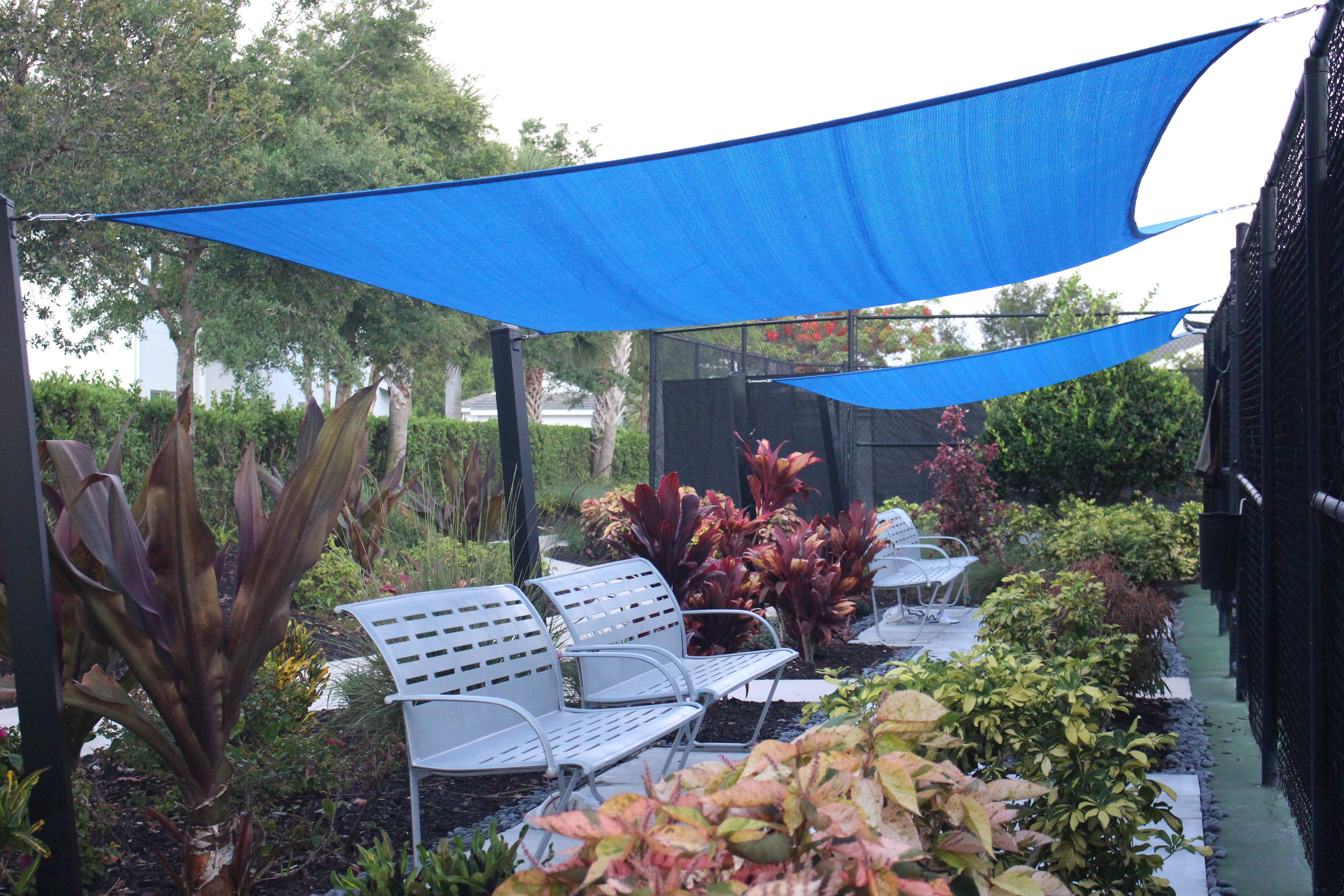 New Landscaping around Tennis & Pickleball Courts thumbnail