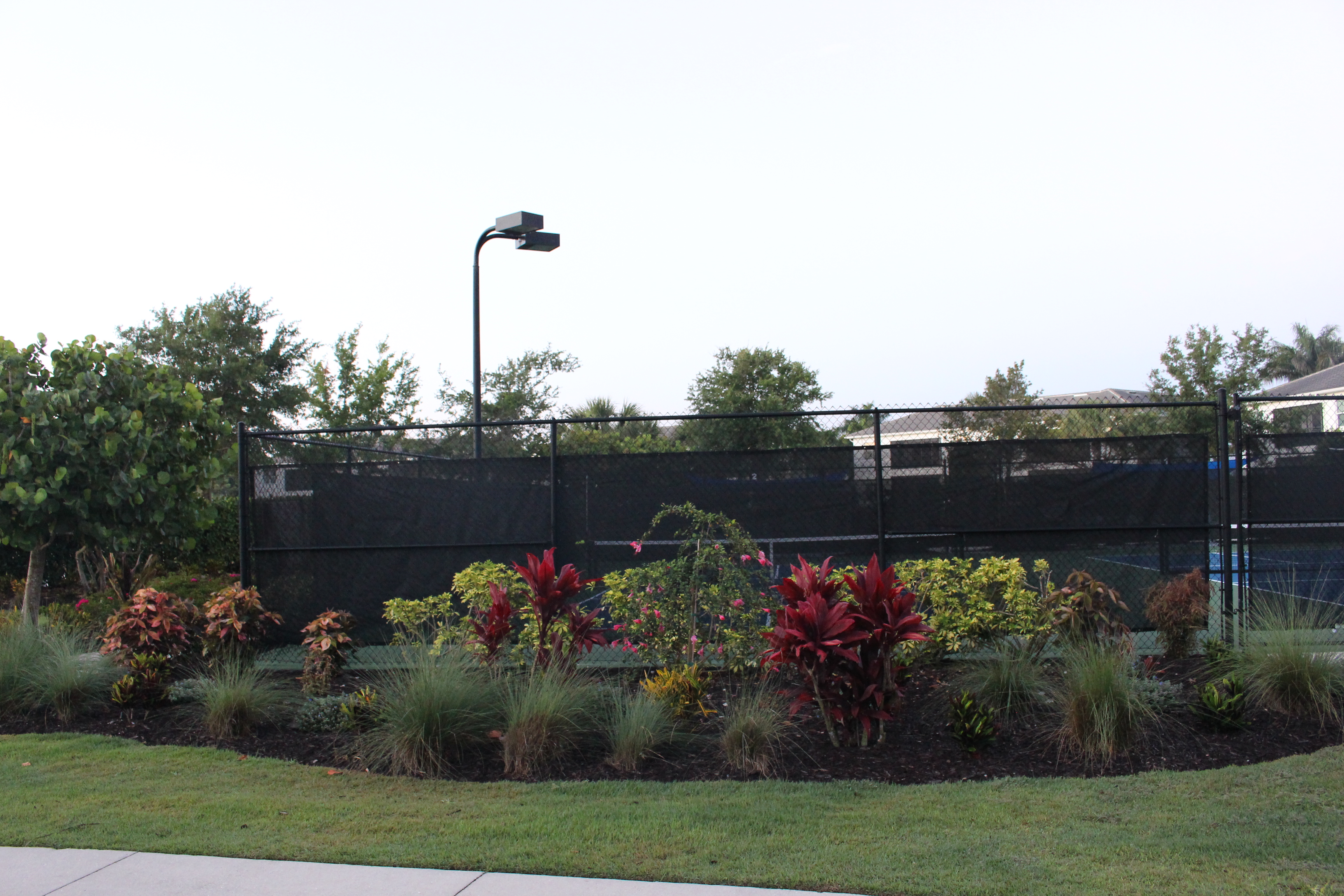 New Landscaping around Tennis & Pickleball Courts thumbnail