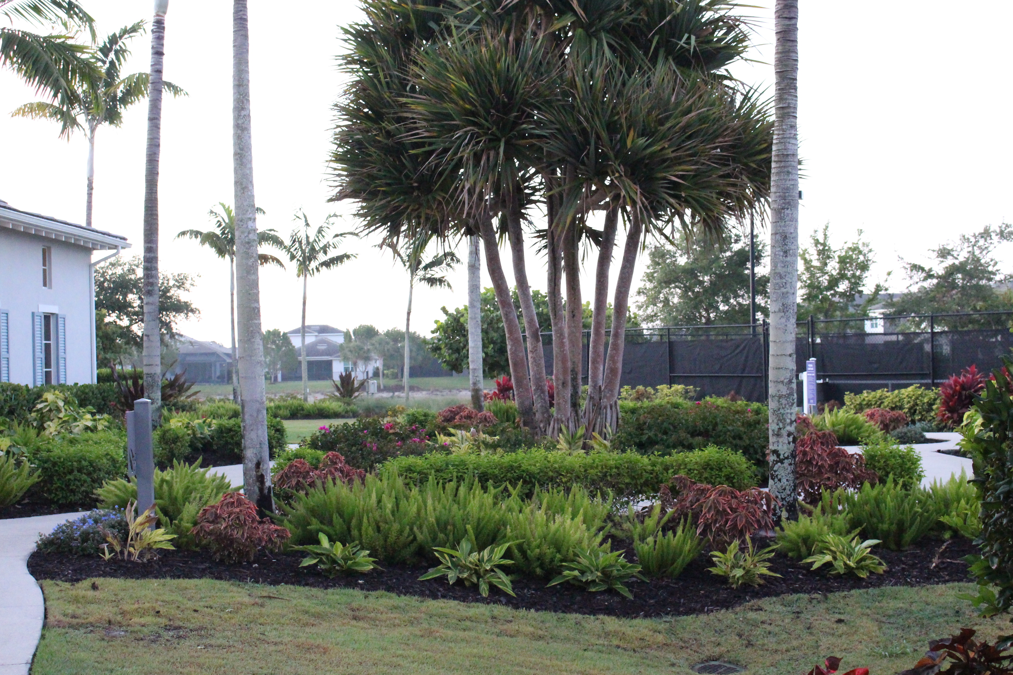 New Landscaping around Tennis & Pickleball Courts thumbnail
