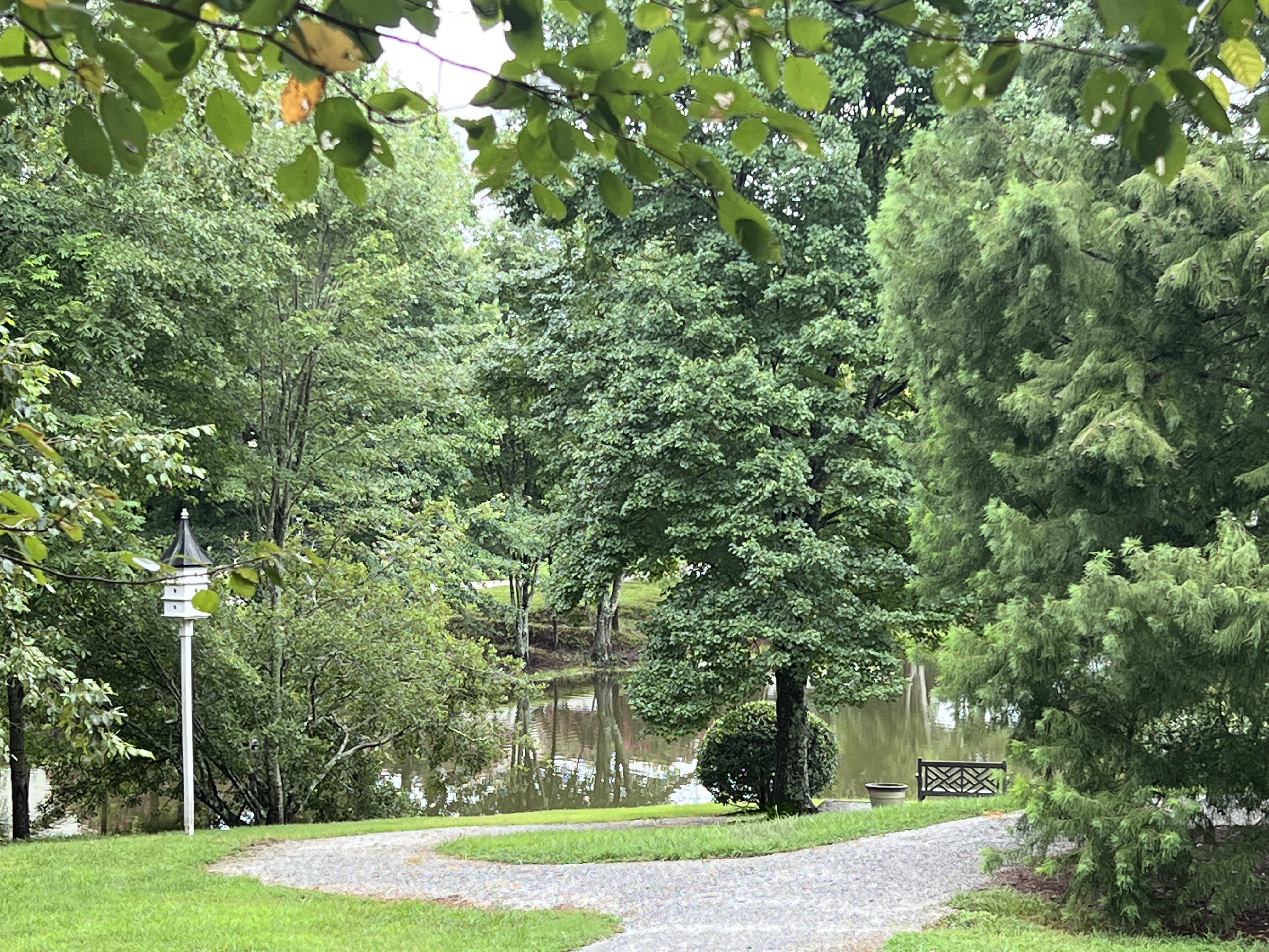 a pond with walking trails. thumbnail